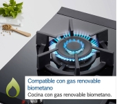 ENCIMERA BOSCH PRB3A6B70 2 ZONAS GAS NATURAL